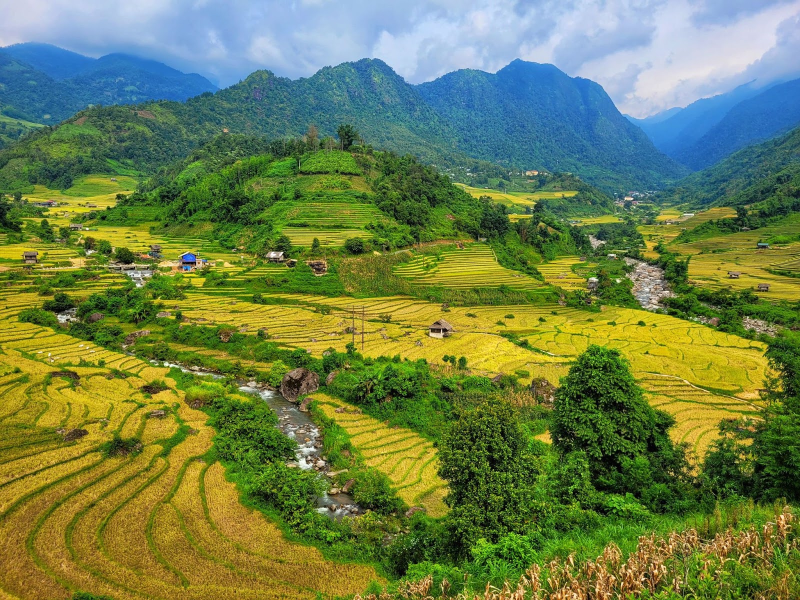 XÓM NHỎ H’MÔNG ĐÓN MÙA LÚA CHÍN
